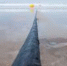Кабель, соединяющий континенты, установил рекорд скорости интернета - Magas.Su
