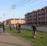 В Малгобеке,благодаря спонсорской помощи,посадили 600 саженцев деревьев - Magas.Ru