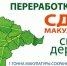 Ингушетия участвует в экологическом марафоне «Сдай макулатуру — спаси дерево» - Газета Ингушетия