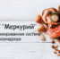 В Ингушетии с помощью системы «Меркурий» выявлено несуществующее предприятие по производству мяса говядины - Magas.Ru