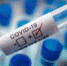 В Ингушетии за сутки умер один человек с Covid-19 - Magas.Ru