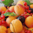 fruits of july - Роспотребнадзор