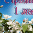 Поздравление руководителя следственного управления с первомайским праздником - Следственный комитет