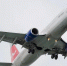 Из Тюмени запустят рейсы Nordwind Airlines в Ингушетию и Астрахань - Сердало