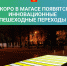 a695f1d9 e589 4d89 9cd0 b08cb14c9651 - Город Магас