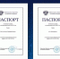 Готовность «Россети Северный Кавказ» к ОЗП подтверждена паспортом Минэнерго РФ - Сердало