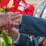 ec0e57f8 67a7 48ec 839d 42e89982d124 - Город Магас