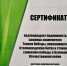 Саженец волгоградского тополя Победы высадят в городе воинской славы Малгобеке - Газета Ингушетия