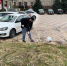 Работники Министерства культуры Республики Ингушетия приняли участие в  общереспубликанском субботнике - Министерство культуры
