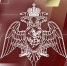 Генерал-полковник Алексей Воробьев провел рабочее совещание с военнослужащими и сотрудниками курируемых подразделений - Росгвардия