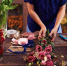 Как правильно выбрать живые цветы - Роспотребнадзор
