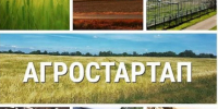 Фото с ТГ-канала Правительства региона - НИА-Кавказ - Ингушетия