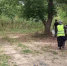 В Карабулаке Ингушетии провели очистку береговой зоны городского пруда - Сердало