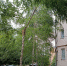 photo 2025 3 - Город Магас