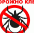 Мониторинг по укусам клещей за период с 18 июля 2025 г. по 24 июля 2025 г. - Роспотребнадзор