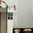 Форум муниципальных депутатов партии «Единая Россия» собрал депутатов всех муниципальных образований - Единая Россия