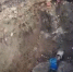 фото: стоп-кадр видео с ТГ-канала Правительства региона. - НИА-Кавказ - Ингушетия