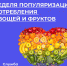 Неделя популяризации потребления овощей и фруктов: Инвестируйте в свое здоровье с каждой порцией - ГБУЗ СЦРБ