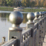 фото пресс-службы Главы и Правительства РИ - НИА-Кавказ - Ингушетия
