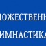 ​СПОРТСМЕНКИ ИЗ ИНГУШЕТИИ ОТЛИЧИЛИСЬ НА СОРЕВНОВАНИЯХ ПО ХУДОЖЕСТВЕННОЙ ГИМНАСТИКЕ В НАЛЬЧИКЕ - Министерство по физкультуре и спорту