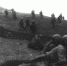 3 января 1943 года был освобождён город — герой Малгобек - Архивная служба