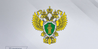 Поздравление руководителя следственного управления Следственного комитета Российской Федерации по Республике Ингушетия с Днем работника прокуратуры Российской Федерации - Следственный комитет