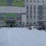 В январе 2026 года в Ингушетии родилось 213 девочек и 213 мальчиков - Сердало
