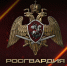 Ключевые события Росгвардии: итоги недели (видео) - Росгвардия