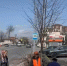В Ингушетии высокие липы высадили рядом с городской больницей Назрани - Сердало