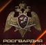 Ключевые события Росгвардии: итоги недели (видео) - Росгвардия