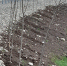 1000594065 - Город Магас