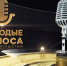 В Ингушетии проходит республиканский вокально-инструментальный конкурс - Сердало