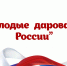 j1jg4e5wucpc9c2qitjy3end0af8xfm8 - Министерство культуры