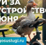 707af936 f769 4a66 999b d161f08cf844 - Город Магас