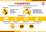 Какие инфекции может содержать мясо?
