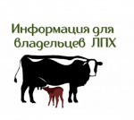 Учёт и маркирование сельскохозяйственных животных в личных подсобных хозяйствах: порядок действий граждан.